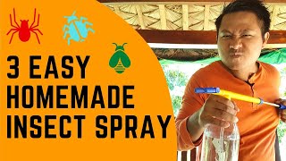 3 EasytoDo Homemade Insect Spray [upl. by Trixie273]