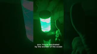 🪼🌌🌚🌊 calm ocean jellyfish nightlight love [upl. by Asseniv703]