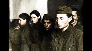 The Women Who Saved Stalingrad [upl. by Lema447]