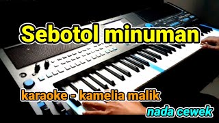 sebotol minuman  kamelia malik  Karaoke Lirik Tanpa vocal by jampang pbg  psrs670 [upl. by Devona]