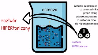 Osmoza jasno i przystępnie Doświadczenia [upl. by Yelbmik]