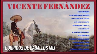 VICENTE FERNANDEZ PUROS CORRIDOS DE CABALLOS MIX 🔥 VICENTE FERNANDEZ LAS MEJORES RANCHERAS [upl. by Arron]