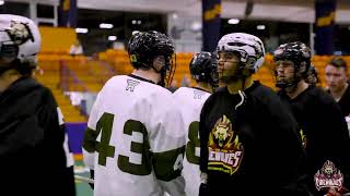 Albany FireWolves vs Rochester Knighthawks  NLL Preseason Highlights 2024 [upl. by Cassius]