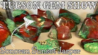 Mineral District  Tucson Gem amp Mineral Show 2024 [upl. by Eiramac]