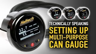 💬 How To Set Up Haltech MultiFunction CAN Gauge  Technically Speaking [upl. by Socem549]