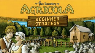 Agricola🌾 Strategy for Beginners [upl. by Atnohsal]