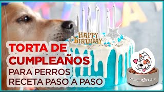 🍰TORTA PARA PERROS 🐶 Receta paso a paso [upl. by Thynne]