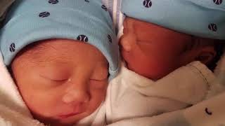 Monochorionic Diamniotic Twins I Identical Twins I Share the Same Placenta I TWINventures [upl. by Seadon]