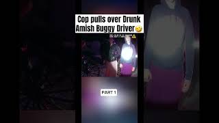 Cop Pulls Amish Driver Over for Suspicion of DUI cops amish driving horse [upl. by Eseuqram250]