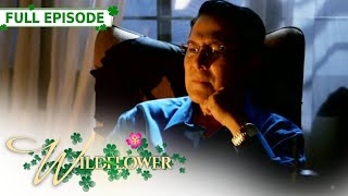 ENG SUB Ep 151  Wildflower  Maja Salvador Tirso Cruz III Aiko Melendez [upl. by Klemens804]