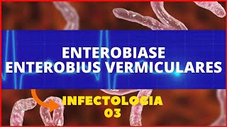 ENTEROBIASE  ENTEROBIUS VERMICULARES  PARASITOLOGIA  INFECTOLOGIA [upl. by Ihel960]