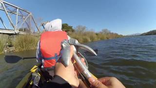 Salinas River Fishing [upl. by Mad]