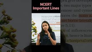 Racemose vs cymose inflorescence  NCERT important lines for NEET  Revision Biology NEET [upl. by Ailehs]