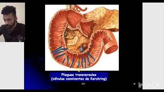 Anatomia com Maycomrdic duodeno [upl. by Lemuel]