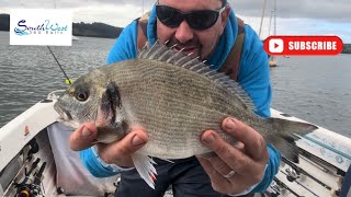 Sea fishing UK  Gilthead Bream fishing  Best number of Gilts from the boat In a session [upl. by Bannon]