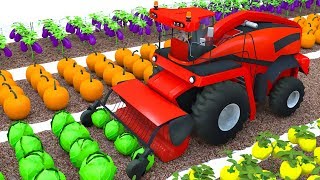 Farm Combine harvester from the field colors vegetables for kids [upl. by Shamus]