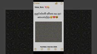 ඔට්ටුයි බෑපුළුවන් නම් හොයපල්ලා😜newstatus shorts shortsfeed betashorts imabro challenge [upl. by Vergne]