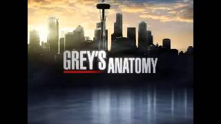 Greys Anatomy Theme Song [upl. by Tadeo]