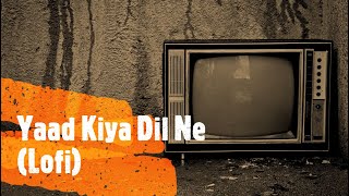 Yaad Kiya Dil Ne Lofi Remix  Patita 1953  Indian Lofi [upl. by Westbrooke]