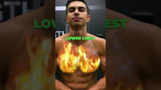 The BEST Way To Train Upper amp Lower Chest [upl. by Gudrun]