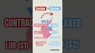 Systole vs Diastole systolic diastolic nursingschool nursingschoolstudents nursingstudent [upl. by Sonahpets958]