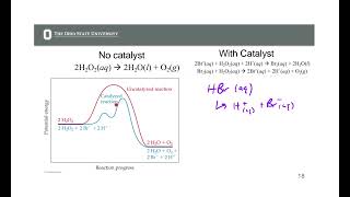 Catalysis and Enzymes CH 14 9182024 [upl. by Eatnom]