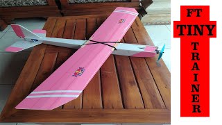 FT Tiny Trainer the easy build and fly rc Plane [upl. by Stefanac454]