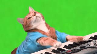 Make Your Own Keyboard Cat  Green Screen [upl. by Jolyn]