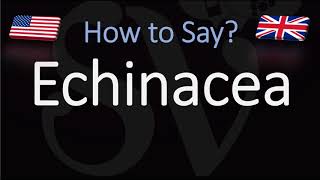 How to Pronounce Echinacea CORRECTLY [upl. by Narba]