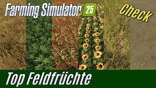 LS25 Check Top Feldfrüchte  Welche Feldfrucht ist am lukrativsten [upl. by Fae407]