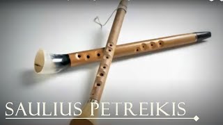 Lithuanian folk instrument Birbyne Baltic Vikings Calm Music Folk Music Saulius Petreikis [upl. by Arnaud]