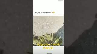 Subscribe 4 MOR VIDEOS funnnyvideo420 [upl. by Nerrej]