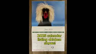 Chicken calendar 2025 cluckerbooks chicken bantamchicken calendar chickenshow chickenman [upl. by Moncear]