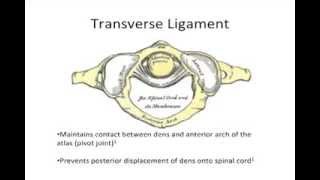 Transverse Ligament Test To assess the integrity of the transverse ligament and cervical stability [upl. by Airbas511]