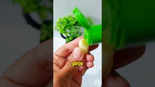 Jangan ada GaTal di antara kita 😱⁉️ tips tipsdantricks tipssehat gatal kulit [upl. by Suvart380]