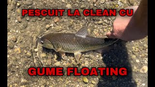 Pescuit la clean cu gume floating august 2022 [upl. by Aihsenal267]