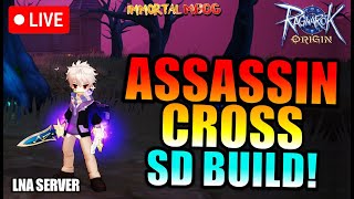 ASSASSIN CROSS SD BUILD FROM PYRAMID 4  RAGNAROK ORIGIN  ROO [upl. by Clift]