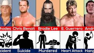 How WWE Wrestlers Died [upl. by Ahgiel988]