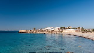 Tabarca Island a Costa Blanca Paradise MediterraneanLive [upl. by Eisor]