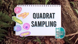 ALevel Biology  quadrat sampling [upl. by Nerrak]