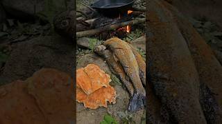 Trout Catch amp Cook and Chicken of the Woods with Doug [upl. by Isidora824]