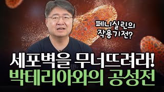 세균의 성벽 세포벽의 구조는 벽돌쌓기와 비슷하다 [upl. by Llehctim]