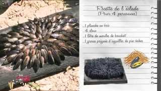 Recette  léclade de moules  Les carnets de Julie [upl. by Scully]