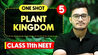 PLANT KINGDOM  Complete Chapter in One Video  ConceptsPYQs  Class 11th NEET [upl. by Suelo]