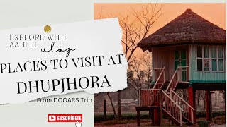 Places to Stay in Dhopjhora  Dooars Trip  Dooars Tour dhopjhora travel ytshorts dooars [upl. by Lizzy]