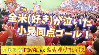 【ルヴァン国立FINALVAR判定からの劇的同点】アルビレックス新潟 vs 名古屋グランパス [upl. by Anirtep620]