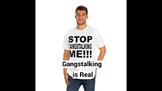 Gangstalking is Real Should be Studied Conference Keynote Speech [upl. by Elle11]