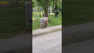 La bici 🚲 sorpresa 🎉 casa ladrones 😱 broma de humor 😂❤️ funny video reels comedy tiktok [upl. by Hank]