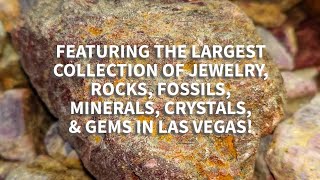 Exploring the Ultimate Gem Mineral and Jewelry Show at JOGS Las Vegas Gem and Jewelry Show 2024 [upl. by Damon]