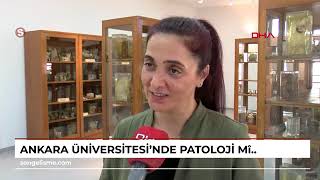 Patoloji Demonstrasyon Salonumuz Yenilendi Gelin Birlikte Gezelim [upl. by Crispas]